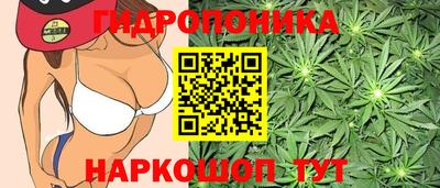бошки Новокубанск